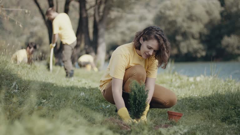Lawn Drainage Solutions in Hayfork, CA